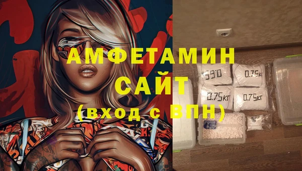 стаф Аркадак