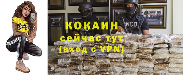 бошки Снежинск