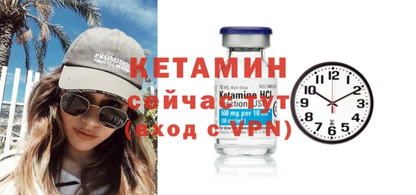 стаф Аркадак