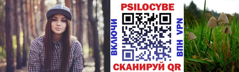 Галлюциногенные грибы прущие грибы  Белёв 